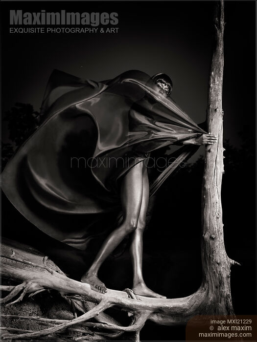 Dramatic fine art portrait of a beautiful black woman in flying black dress standing on dead tree roots at night Stock photo of Dramatic fine art portrait of a beautiful black woman in flying black dress standing on dead tree roots at night Buy commercial use license at MaximImages
