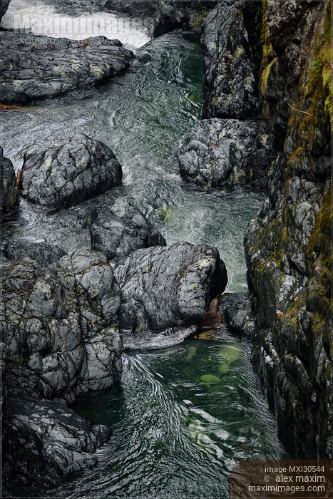 Stock photo of Dramatic scenery of rocky river banks and rapids of the Englishman River on Vancouver Island Buy commercial use license at MaximImages