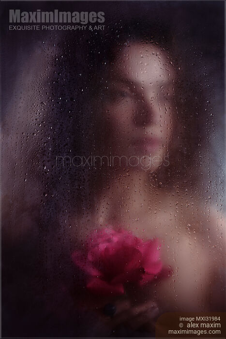 Dream-like romantic portrait of a woman face with a rose behind a hazy wet window glass Stock photo of Dream-like romantic portrait of a woman face with a rose behind a hazy wet window glass Buy commercial use license at MaximImages