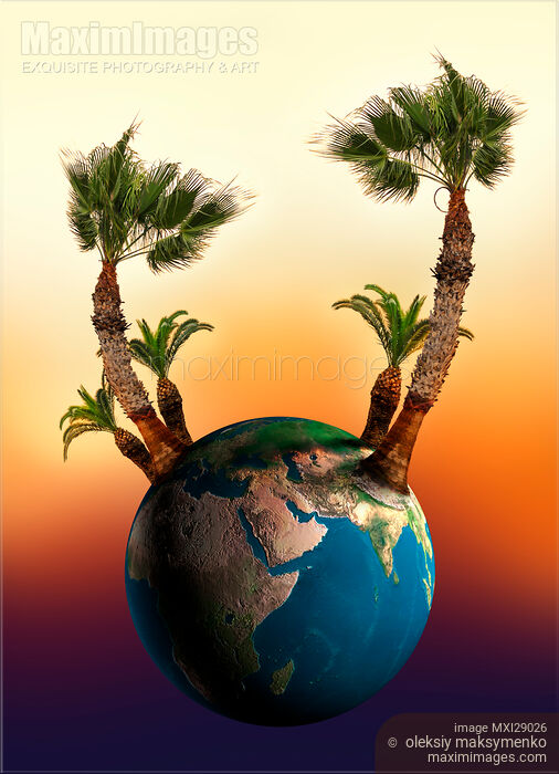 Stock image of Earth Globe with Palm Trees Growing on It Buy commercial use license at MaximImages