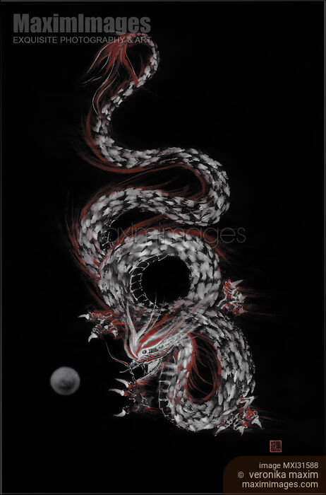 Eastern fire dragon dancing with the pearl sumi-e artwork on black Stock image of Eastern fire dragon dancing with the pearl sumi-e artwork on black Buy commercial use license at MaximImages