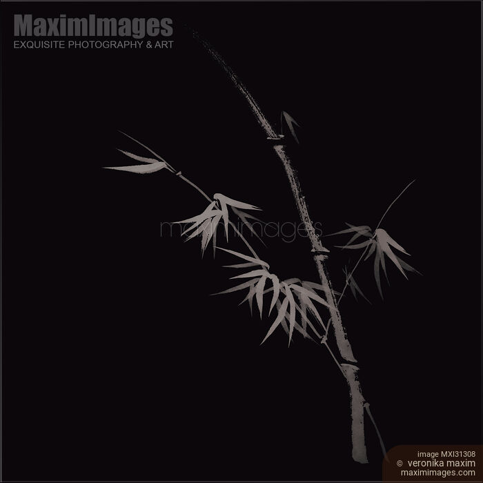 Stock image of Elegant bamboo stalk with leaves Japanese Zen art design on black Buy commercial use license at MaximImages