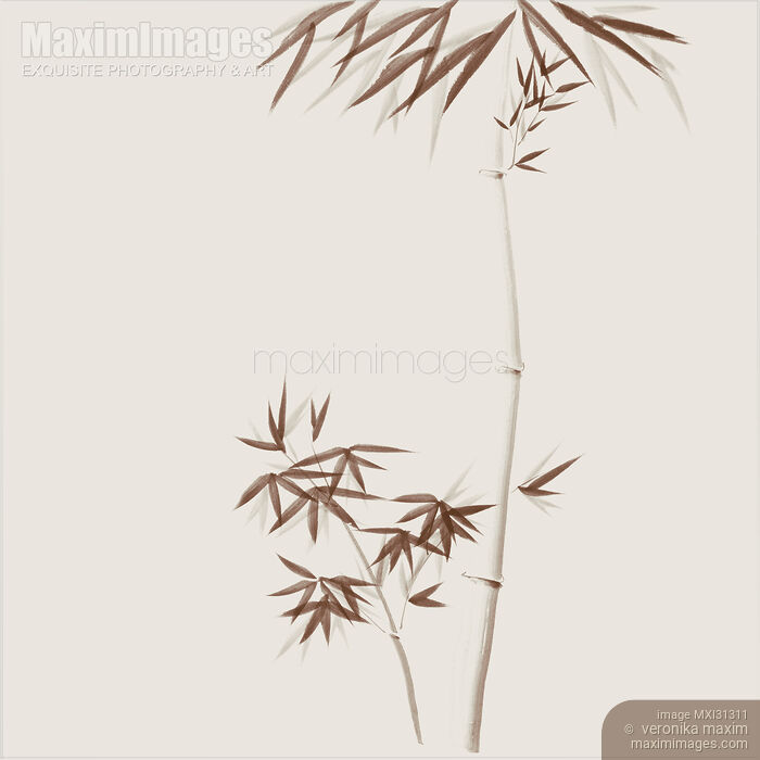 Elegant bamboo stalks with leaves Zen Sumi-e style illustration brown on beige background Stock image of Elegant bamboo stalks with leaves Zen Sumi-e style illustration brown on beige background Buy commercial use license at MaximImages