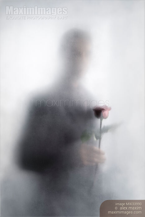 Stock photo of Elegant man in a suit standing with a red rose in his hand behind a hazy glass door in bright white light Buy commercial use license at MaximImages