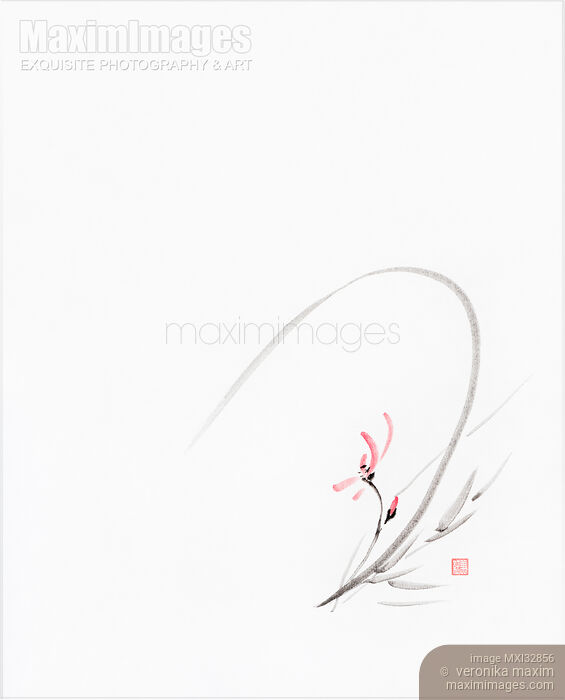 Stock image of Elegant oriental Zen painting of a pink orchid flower in dynamic composition Buy commercial use license at MaximImages