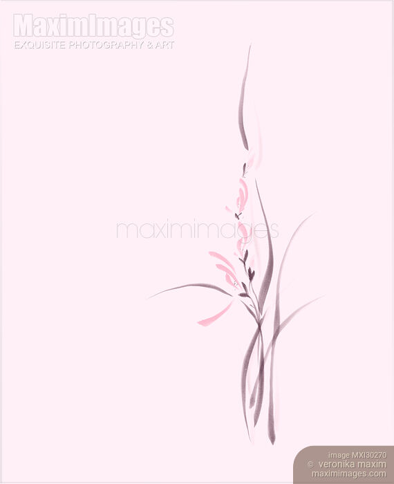 Elegant pink orchid flowers artistic floral design on light pink background Stock image of Elegant pink orchid flowers artistic floral design on light pink background Buy commercial use license at MaximImages