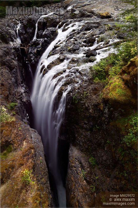 Englishman River Falls Provincial Park on Vancouver Island Stock photo of Englishman River Falls Provincial Park on Vancouver Island Buy commercial use license at MaximImages