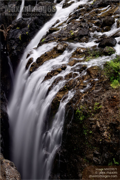 Englishman River Falls Provincial Park Waterfall scenery Vancouver Island Stock photo of Englishman River Falls Provincial Park Waterfall scenery Vancouver Island Buy commercial use license at MaximImages