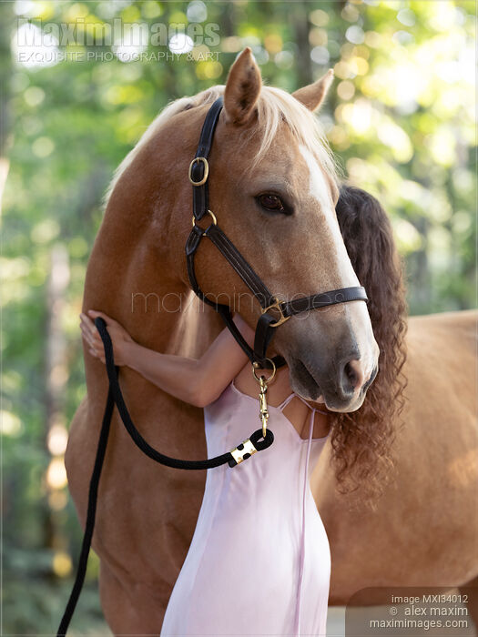 Expressive portrait of a young woman hugging a Palomino horse with white mane in summer nature scenery Stock photo of Expressive portrait of a young woman hugging a Palomino horse with white mane in summer nature scenery Buy commercial use license at MaximImages