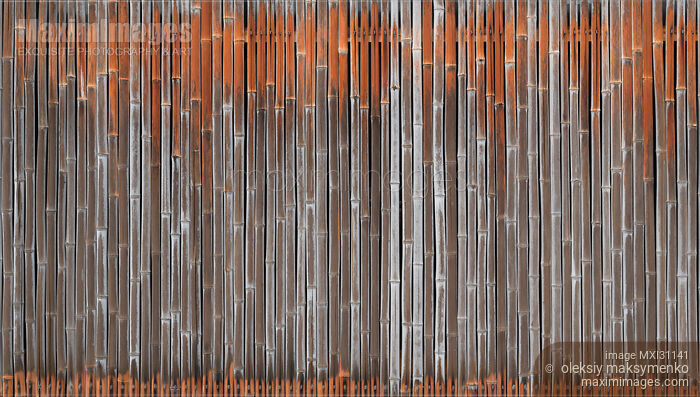 Stock photo of Faded bamboo fence wall background texture Buy commercial use license at MaximImages