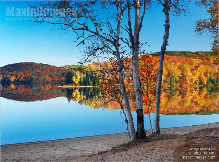 Fall nature scenery at Arrowhead lake Stock photo of Fall nature scenery at Arrowhead lake Buy commercial use license at MaximImages