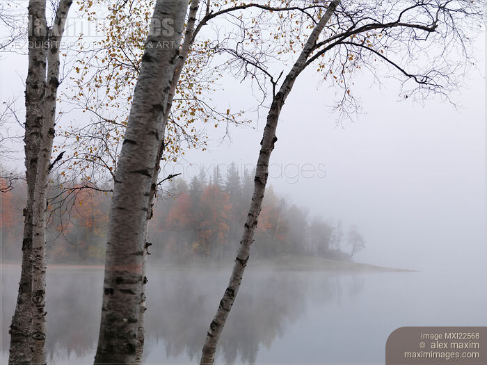 Fall Nature Scenery of a Lake Stock photo of Fall Nature Scenery of a Lake Buy commercial use license at MaximImages