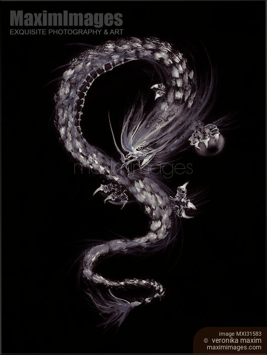 Stock image of Fierce asian dragon guarding his Pearl of Wisdom artistic oriental artwork Buy commercial use license at MaximImages