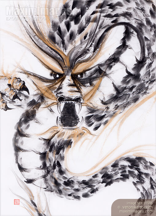 Fierce face of a coiled asian dragon sumi-e ink painting Stock image of Fierce face of a coiled asian dragon sumi-e ink painting Buy commercial use license at MaximImages
