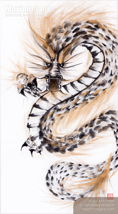 Stock image of Fierce fire breathing asian dragon sumi-e ink painting Buy commercial use license at MaximImages