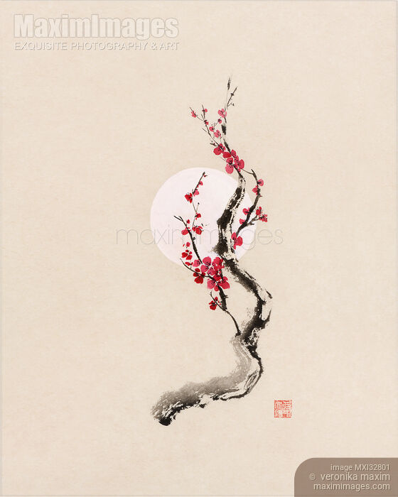 Stock image of Fine art Illustration of plum blossom oriental sumi-e Zen painting Buy commercial use license at MaximImages