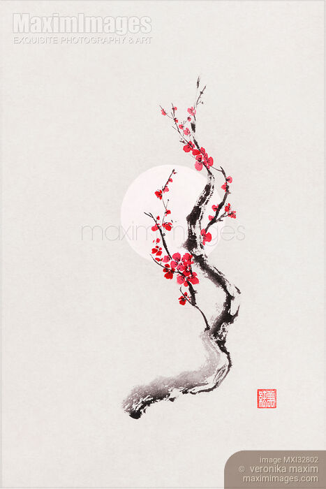 Fine art Illustration of Sakura iconic cherry blossom oriental sumi-e Zen painting Stock image of Fine art Illustration of Sakura iconic cherry blossom oriental sumi-e Zen painting Buy commercial use license at MaximImages