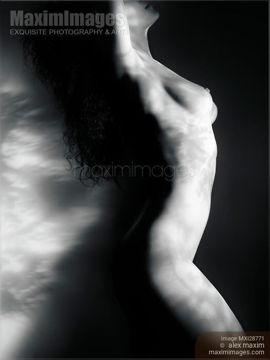 Stock photo of Fine art nude photo of naked woman body with light pattern of leaves Buy commercial use license at MaximImages