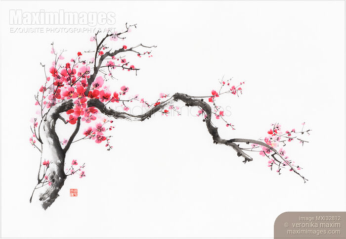 Stock image of Fine art Sumi-e ink painting of a crooked blossoming sakura branch with red flowers Buy commercial use license at MaximImages