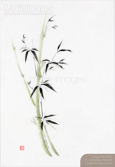 Fine art sumi-e painting of green bamboo stalk with snow on the leaves elegant Zen style illustration Stock image of Fine art sumi-e painting of green bamboo stalk with snow on the leaves elegant Zen style illustration Buy commercial use license at MaximImages