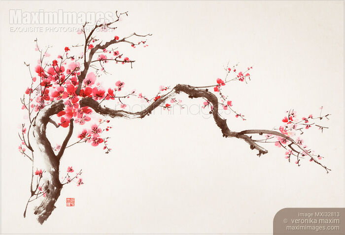 Stock image of Fine art Zen Sumi-e painting of a crooked blossoming sakura branch with red flowers on beige Buy commercial use license at MaximImages