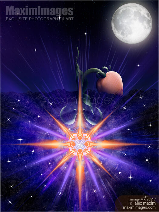 Flower rising from the earth with its blossom in the root Stock image of Flower rising from the earth with its blossom in the root Buy commercial use license at MaximImages