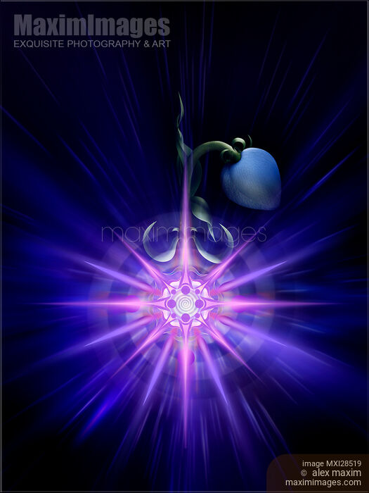 Flower with a magical bloom in its root Stock image of Flower with a magical bloom in its root Buy commercial use license at MaximImages