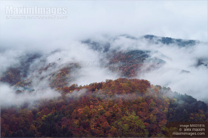Fog covered hills in atmospheric aerial autumn nature scenery Stock photo of Fog covered hills in atmospheric aerial autumn nature scenery Buy commercial use license at MaximImages