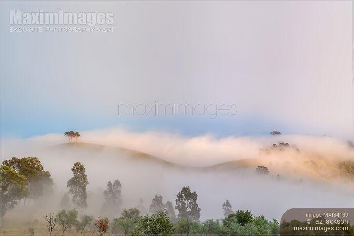 Stock photo of Fog covered hills in misty landscape of Hunter Valley, Australia Buy commercial use license at MaximImages