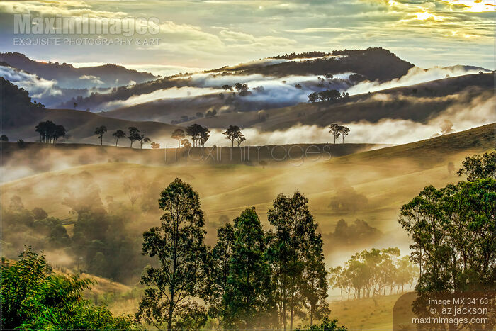 Stock photo of Fog covered hills in misty sunset landscape of Hunter Valley, Australia Buy commercial use license at MaximImages