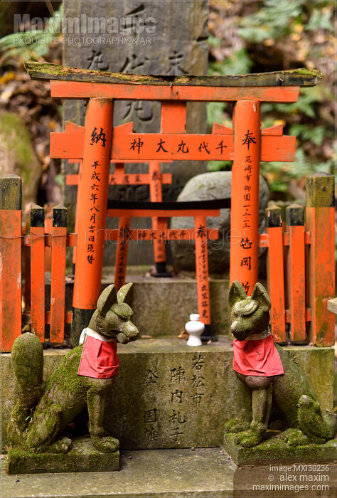 Stock photo of Foxes Kitsune at a small private Shinto shrine altar at Fushimi Inari in Kyoto Japan Buy commercial use license at MaximImages