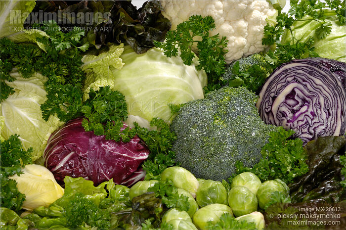 Fresh Vegetable Still Life Stock photo of Fresh Vegetable Still Life Buy commercial use license at MaximImages