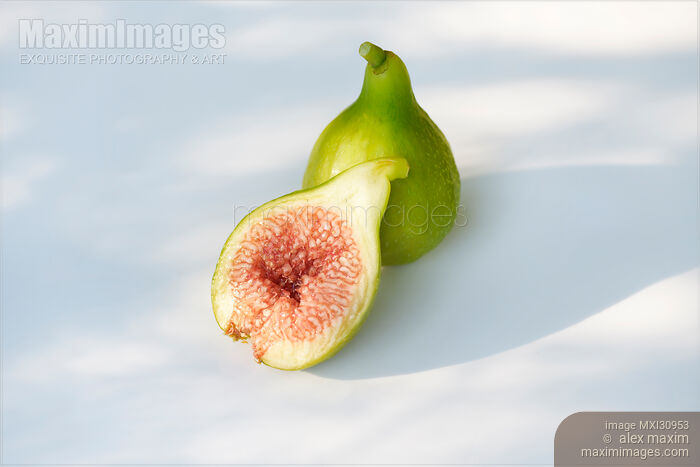 Stock photo of Freshly picked ripe organic Kadota figs food still life Buy commercial use license at MaximImages