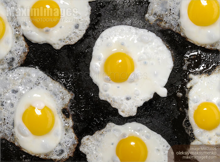 Stock photo of Fried Eggs Buy commercial use license at MaximImages