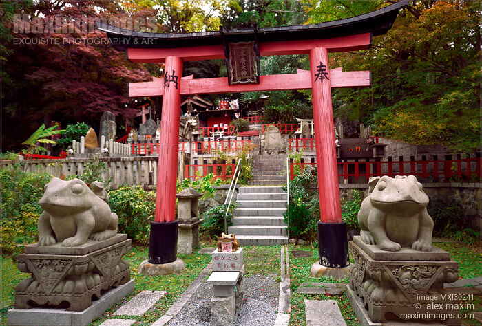Fuku Kaeru Fortune Frog shrine at the exit of Fushimi Inari Kyoto Japan Stock photo of Fuku Kaeru Fortune Frog shrine at the exit of Fushimi Inari Kyoto Japan Buy commercial use license at MaximImages