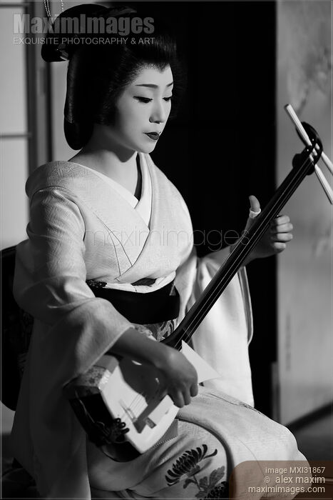 Geisha Geiko playing Shamisen traditional Japanese musical instrument Black and white Stock photo of Geisha Geiko playing Shamisen traditional Japanese musical instrument Black and white Buy commercial use license at MaximImages