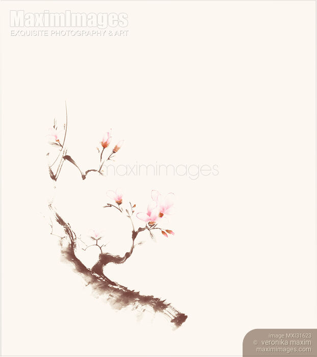Stock image of Gentle sumi-e design of a blossoming sakura branch with pink flowers on light beige Buy commercial use license at MaximImages
