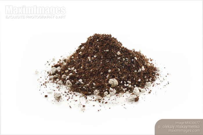 Stock photo of Germination media soilless growing mix of coconut coir vermiculite and perlite Buy commercial use license at MaximImages
