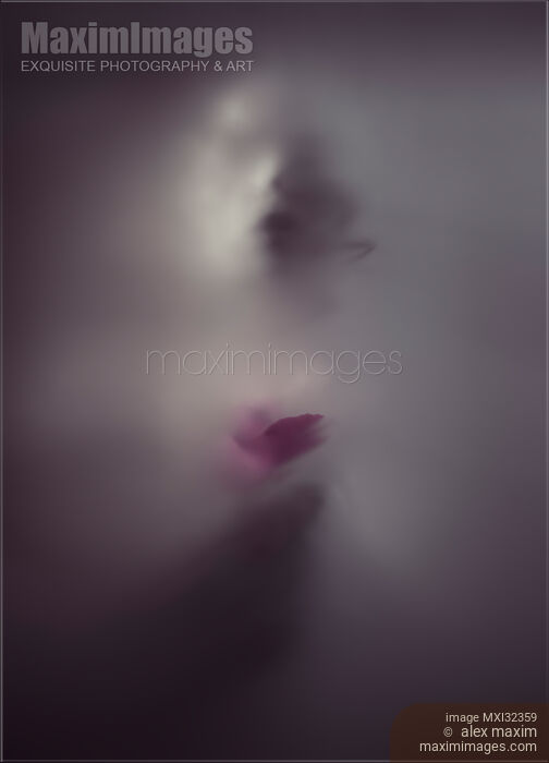 Stock photo of Ghostly woman face with a pink rose behind a veil of dense white suffocating fog Buy commercial use license at MaximImages