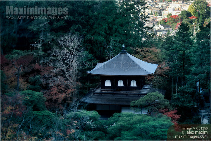 Stock photo of Ginkaku-ji,Temple of the Silver Pavilion Kannonden hall rooftop in Kyoto Buy commercial use license at MaximImages