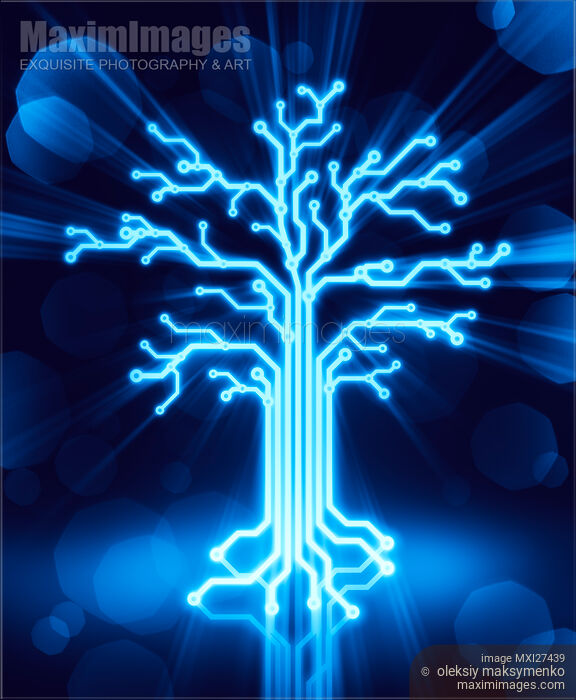 Stock image of Glowing digital tree circuits concept Buy commercial use license at MaximImages