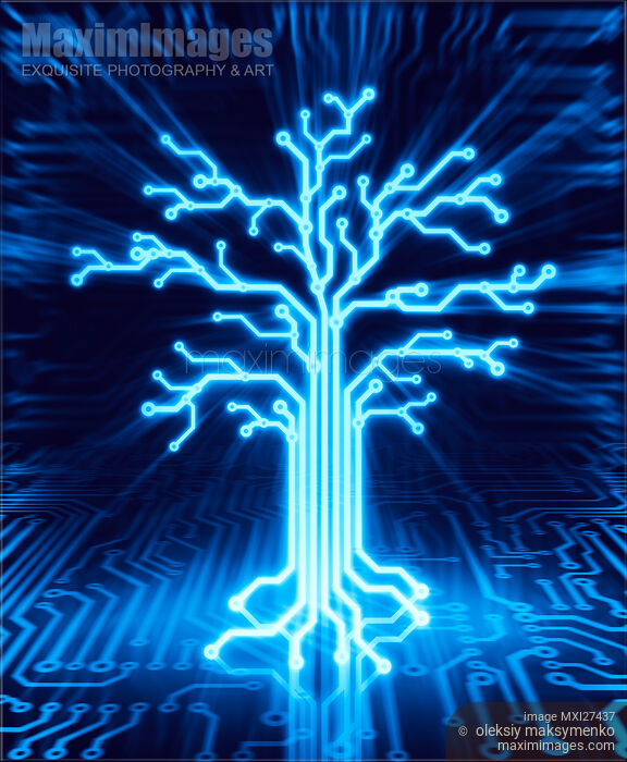 Stock image of Glowing digital tree circuits conceptual illustration Buy commercial use license at MaximImages