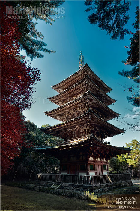 Goju-No-To five-storey pagoda at Daigoji Daigo-ji temple in Kyoto Japan Stock photo of Goju-No-To five-storey pagoda at Daigoji Daigo-ji temple in Kyoto Japan Buy commercial use license at MaximImages