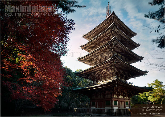 Stock photo of Goju-No-To Gojunoto pagoda in fall nature scenery of Daigoji complex Kyoto Japan Buy commercial use license at MaximImages