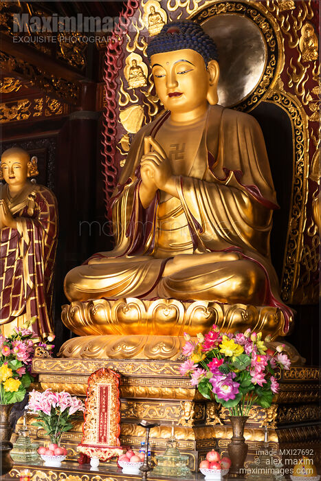 Gold Buddha statue Stock photo of Gold Buddha statue Buy commercial use license at MaximImages