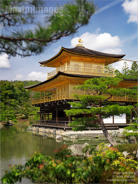 Stock photo of Golden Pavilion Kinkaku-ji temple in Kyoto Japan Buy commercial use license at MaximImages