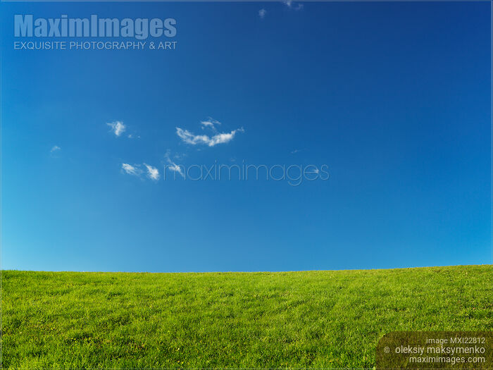 Stock photo of Grassland Landscape Under Blue Sky Buy commercial use license at MaximImages