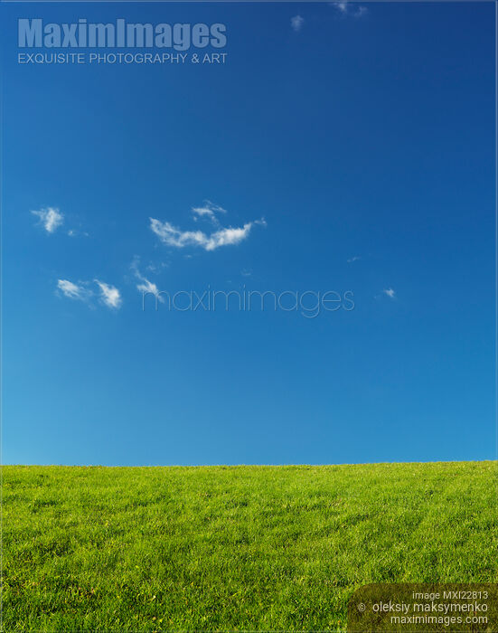 Stock photo of Grassland Landscape Under Blue Sky Buy commercial use license at MaximImages