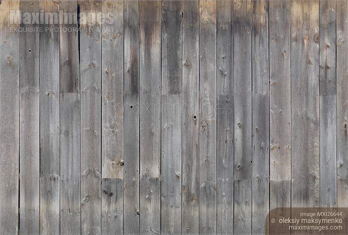 Stock photo of Gray wooden wall texture Buy commercial use license at MaximImages