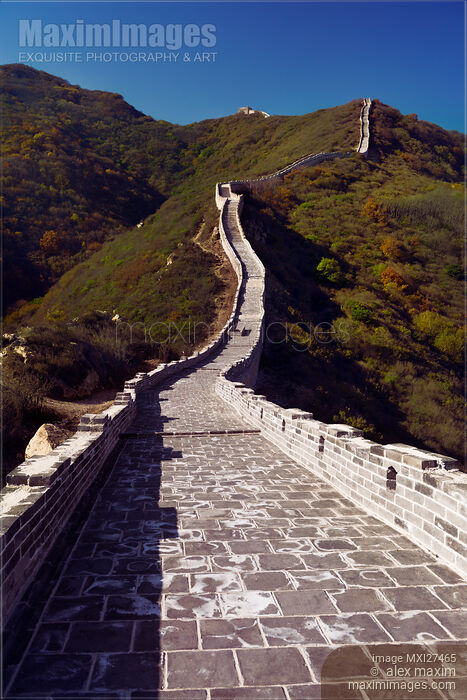 Stock photo of Great Wall of China rising up the mountain Buy commercial use license at MaximImages